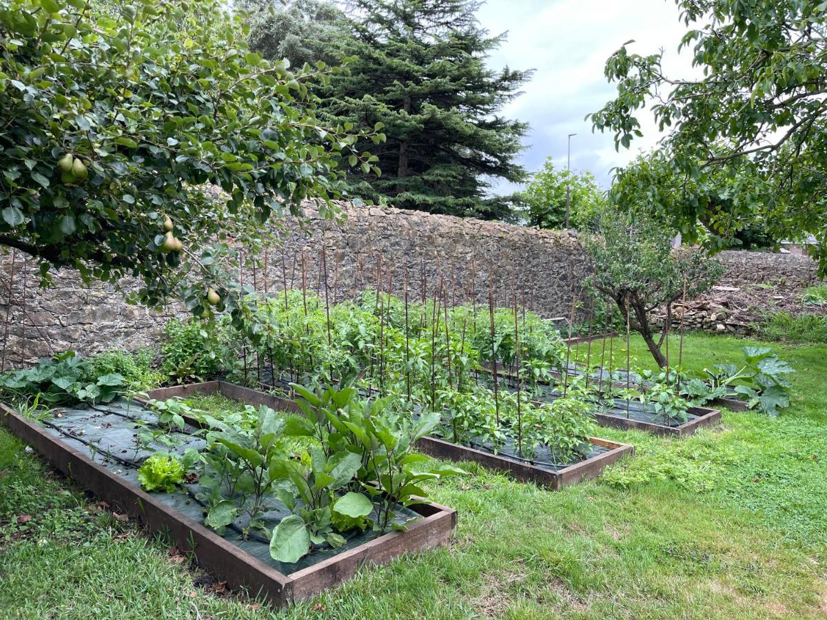 La Solana De Mogro Villa Luaran gambar